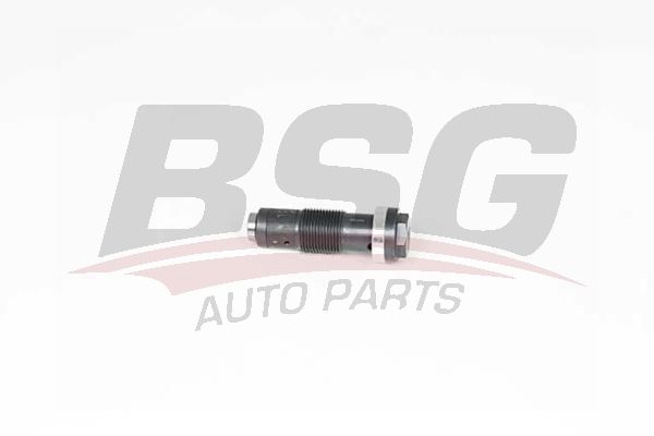 BSG 60109005 Eksantrik Zincir Gergisi - . Görsel