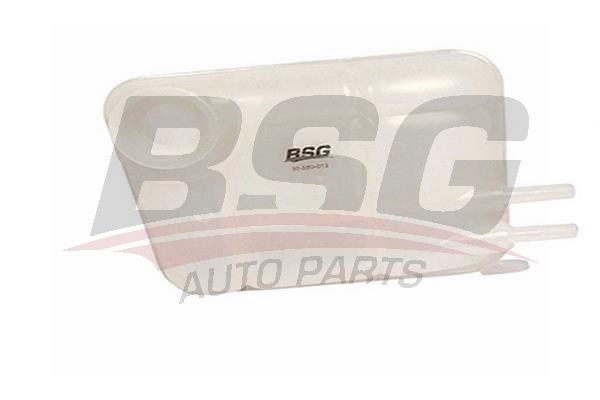 BSG 30550013 Radyatör Yedek Su Deposu - . Görsel