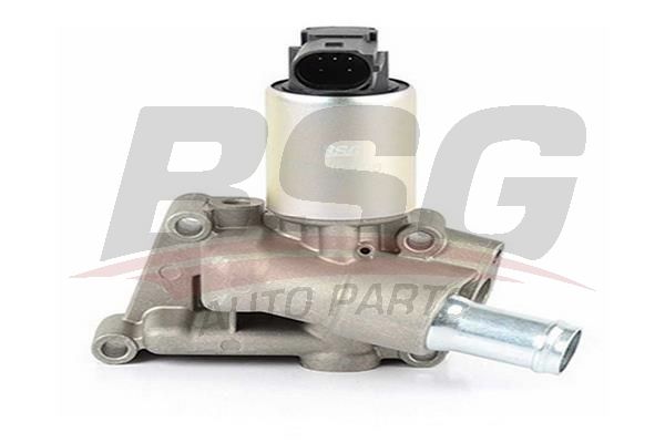 BSG 65836006 Egr Valfi