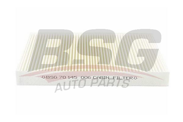 BSG 70145003 Polen Filtresi