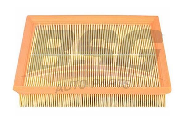 BSG 15135004 Hava Filtresi