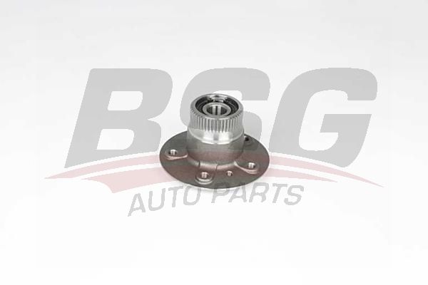 BSG 60600013 Porya Arka