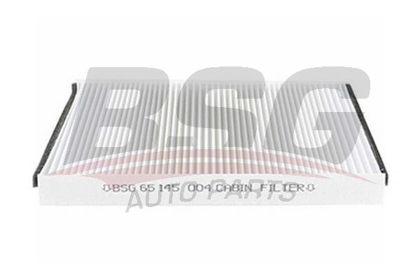 BSG 65145004 Polen Filtresi