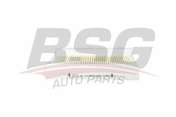 BSG 40145011 Polen Filtresi