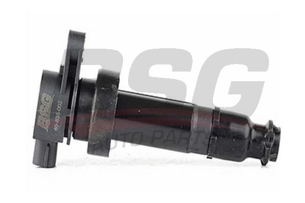 BSG 40835002 Ateşleme Bobini