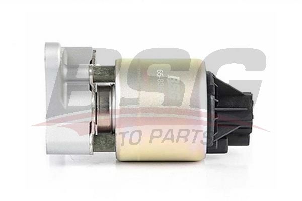 BSG 65836001 Egr Valfi