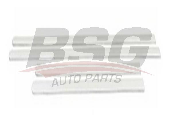 BSG 65924025 Kapı Bandı Takım - . Görsel