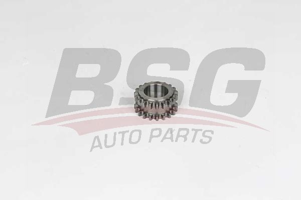 BSG 30103002 Krank Dişlisi