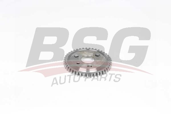 BSG 60109045 Eksantrik Dişlisi - . Görsel