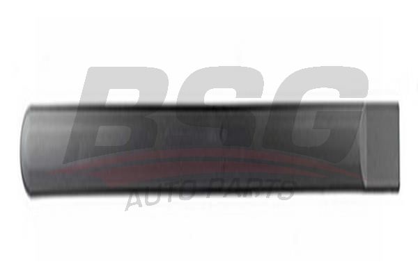 BSG 30924033 Kapı Bandı Arka Sağ