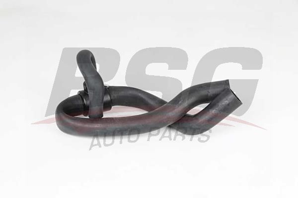 BSG 65700445 Radyatör Hortumu Alt - . Görsel