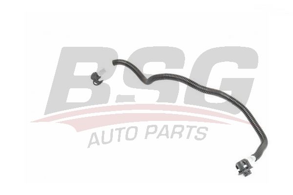 BSG 60725015 Yakıt Hortumu