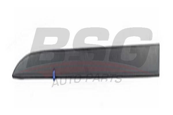 BSG 65925050 Kapı Bandı Ön Sol