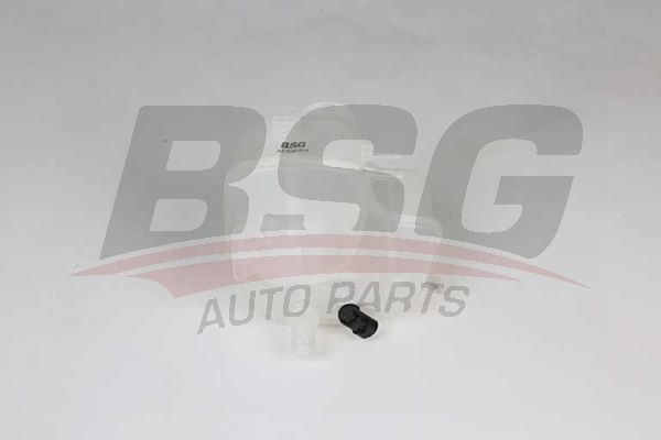 BSG 65550014 Radyatör Yedek Su Deposu