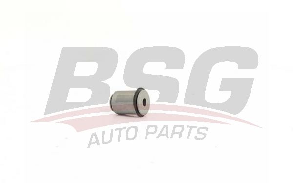 BSG 30700447 Salıncak Burcu Alt