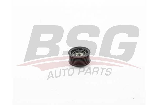 BSG 30615032 V Kayış Gergi Rulmanı