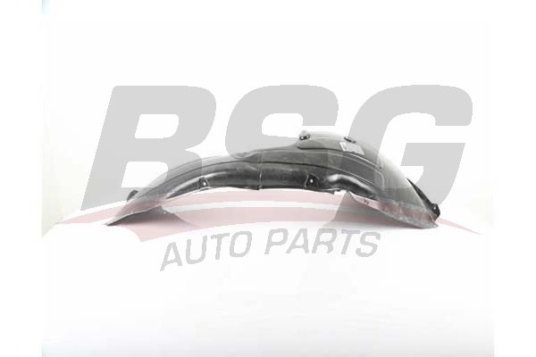 BSG 40923025 Çamurluk Davlumbazı Ön Sağ