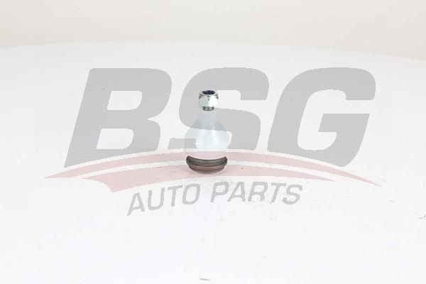 BSG 60310287 Rotil Alt - . Görsel