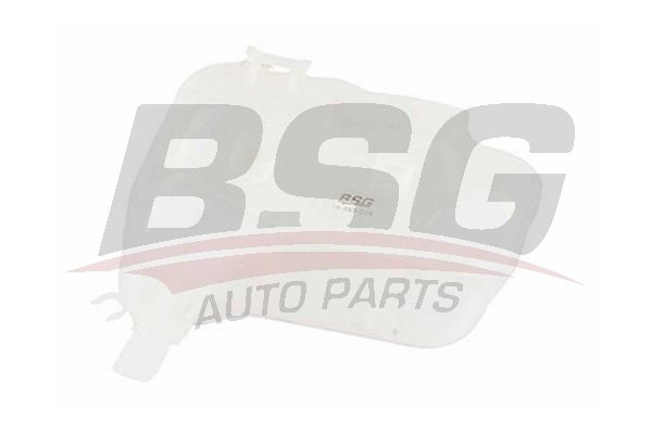 BSG 16550006 Radyatör Yedek Su Deposu - . Görsel