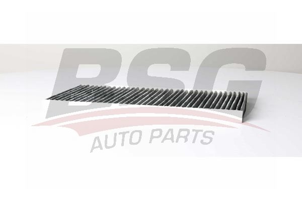 BSG 60145033 Polen Filtresi