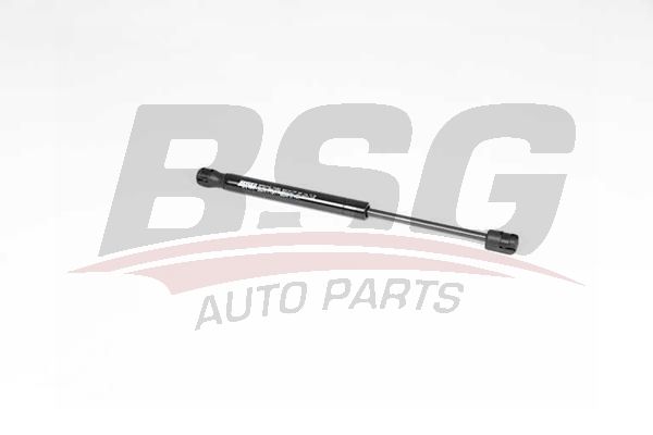 BSG 40980034 Bagaj Amortisörü
