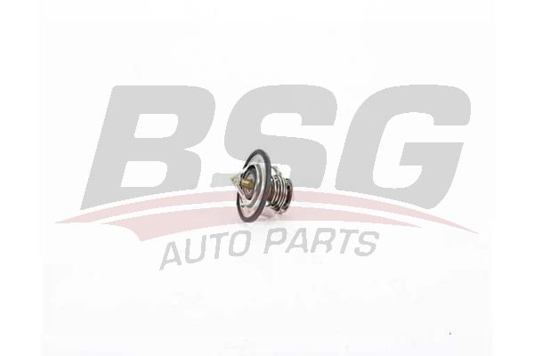BSG 16125007 Termostat
