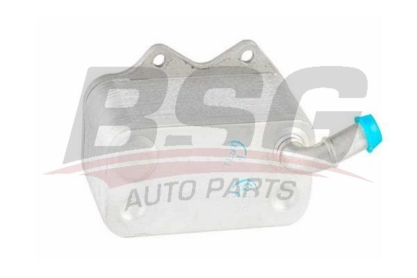 BSG 90506009 Yağ Soğutucusu