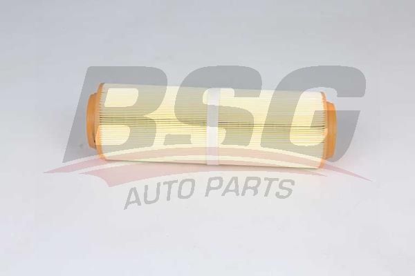 BSG 60135033 Hava Filtresi