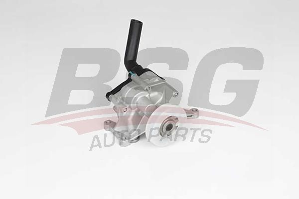 BSG 60101002 Yağ Pompası