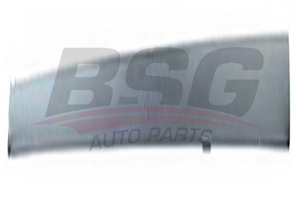 BSG 30924028 Kapı Bandı Ön Sağ