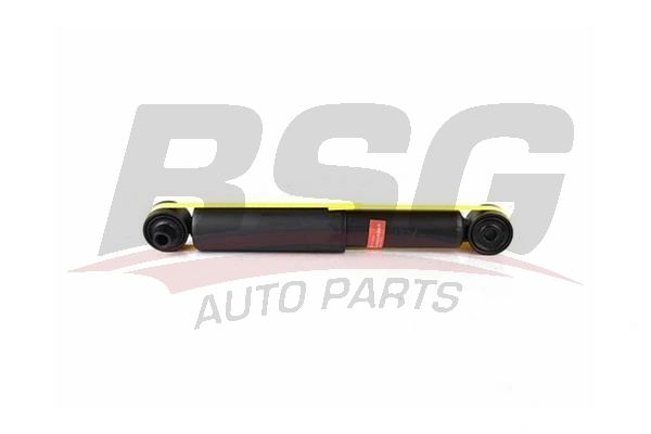 BSG 40300023 Amortisör Arka