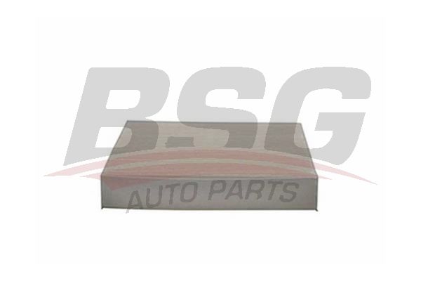 BSG 30145006 Polen Filtresi