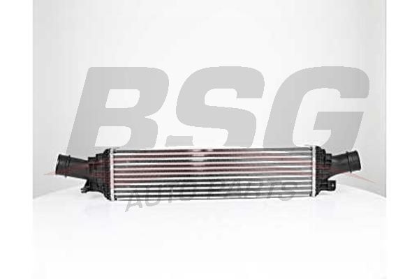 BSG 90535014 Turbo Radyatörü - . Görsel