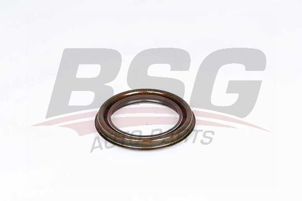 BSG 30116131 Aks Keçesi Arka - . Görsel