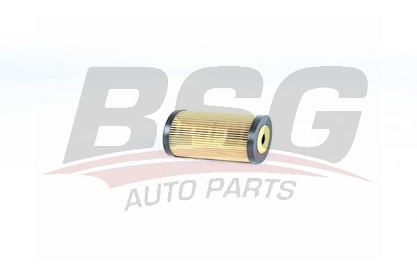 BSG 16140003 Yağ Filtresi