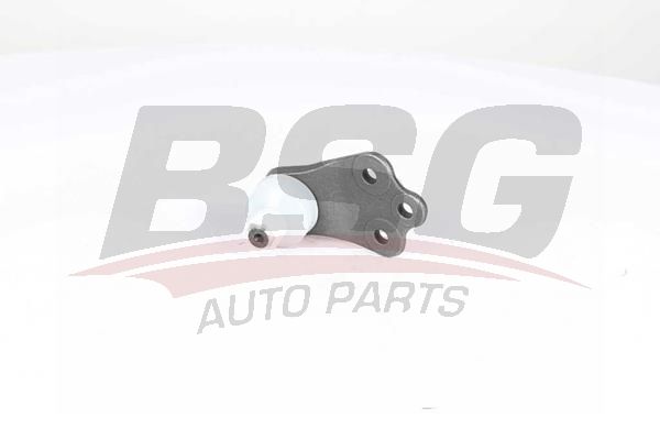 BSG 25310023 Rotil Alt
