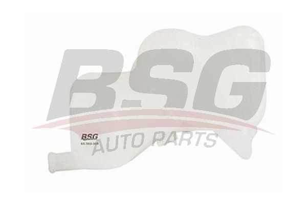 BSG 65550009 Radyatör Yedek Su Deposu