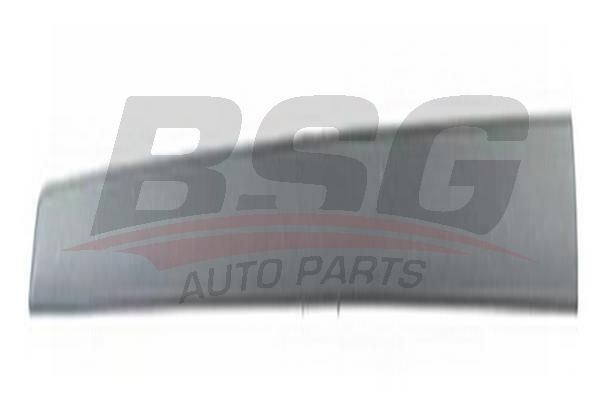 BSG 30924023 Kapı Bandı Ön Sağ