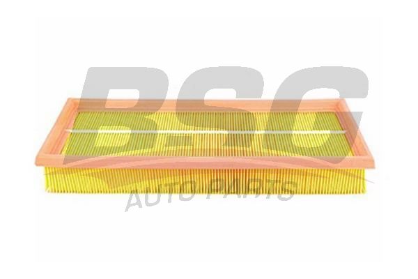 BSG 60135013 Hava Filtresi