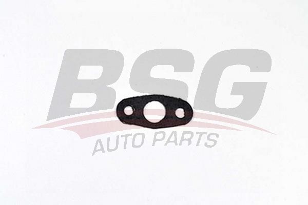 BSG 30116099 Yağ Süzgeç Contası