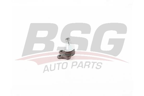BSG 75310052 Rotil Alt
