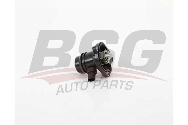 BSG 65125017 Termostat