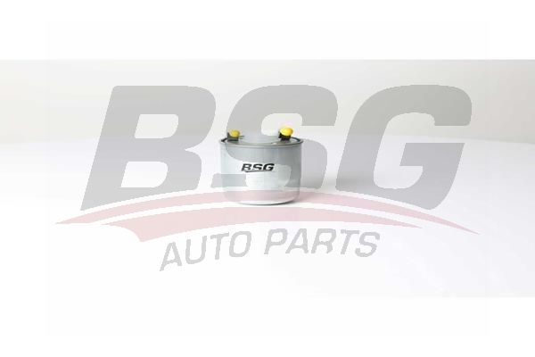 BSG 60130011 Yakıt Filtresi
