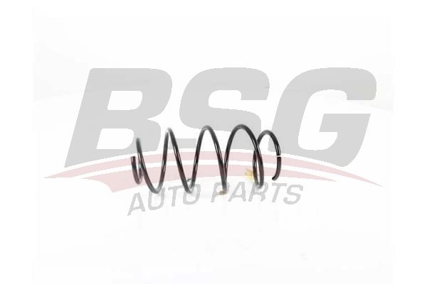 BSG 90305004 Helezon Yayı Ön