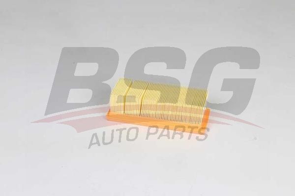 BSG 75135017 Hava Filtresi