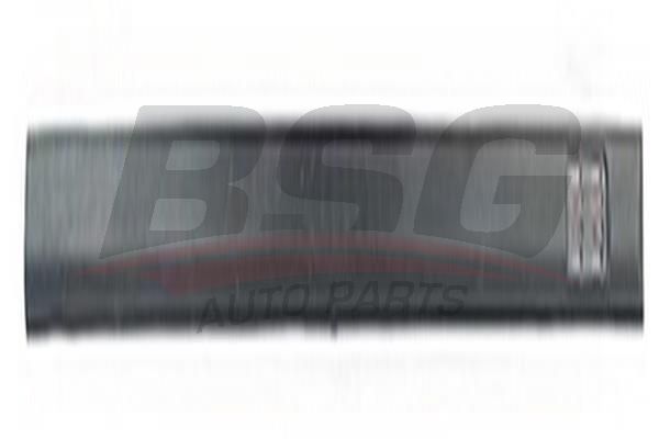 BSG 65925032 Kapı Bandı Ön Sol