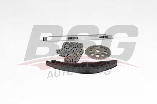 BSG 40102006 Eksantrik Zincir Seti