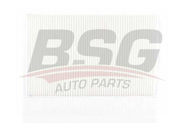 BSG 90145007 Polen Filtresi