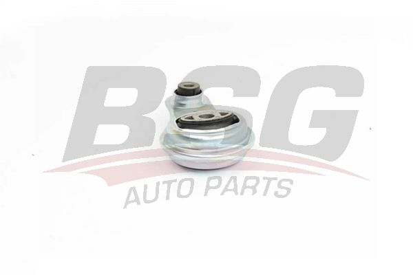 BSG 75705027 Motor Takozu Arka