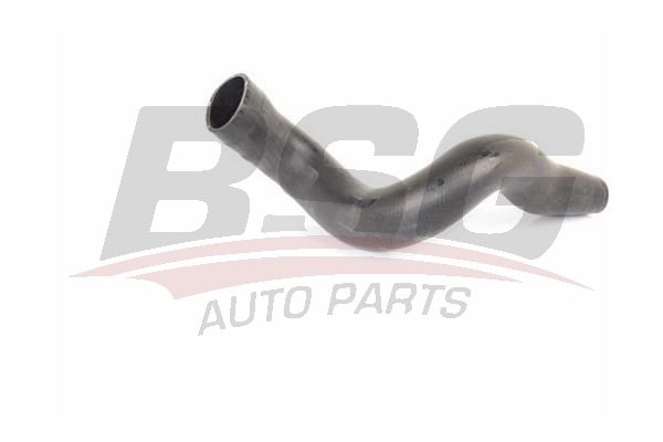 BSG 60720232 Turbo Hortumu